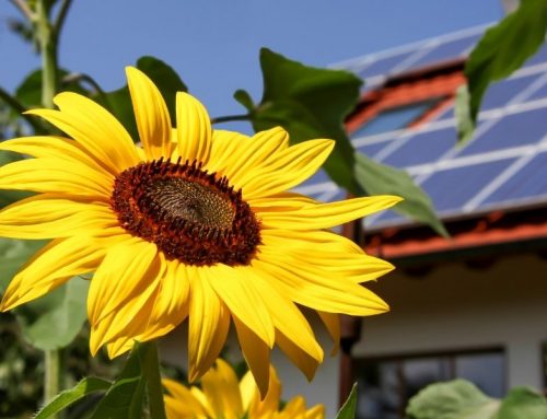 Thermique, photovoltaïque ou hybride : bien différencier les solutions solaires